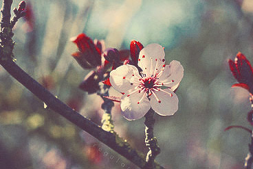 在线手机号轰炸软件